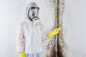 Mold Odor Removal Services in Ebensburg, PA